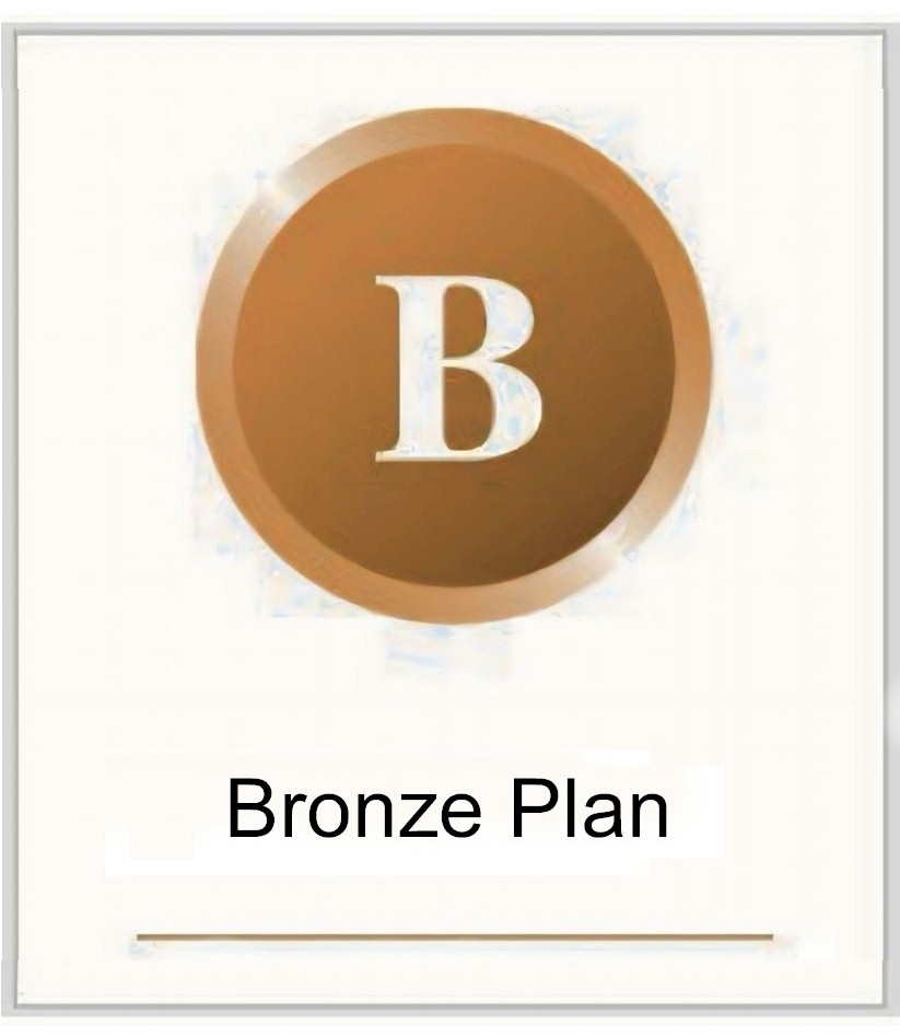 Bronze Pic