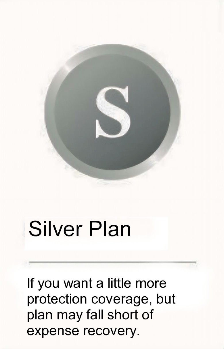 Silver Plan Block