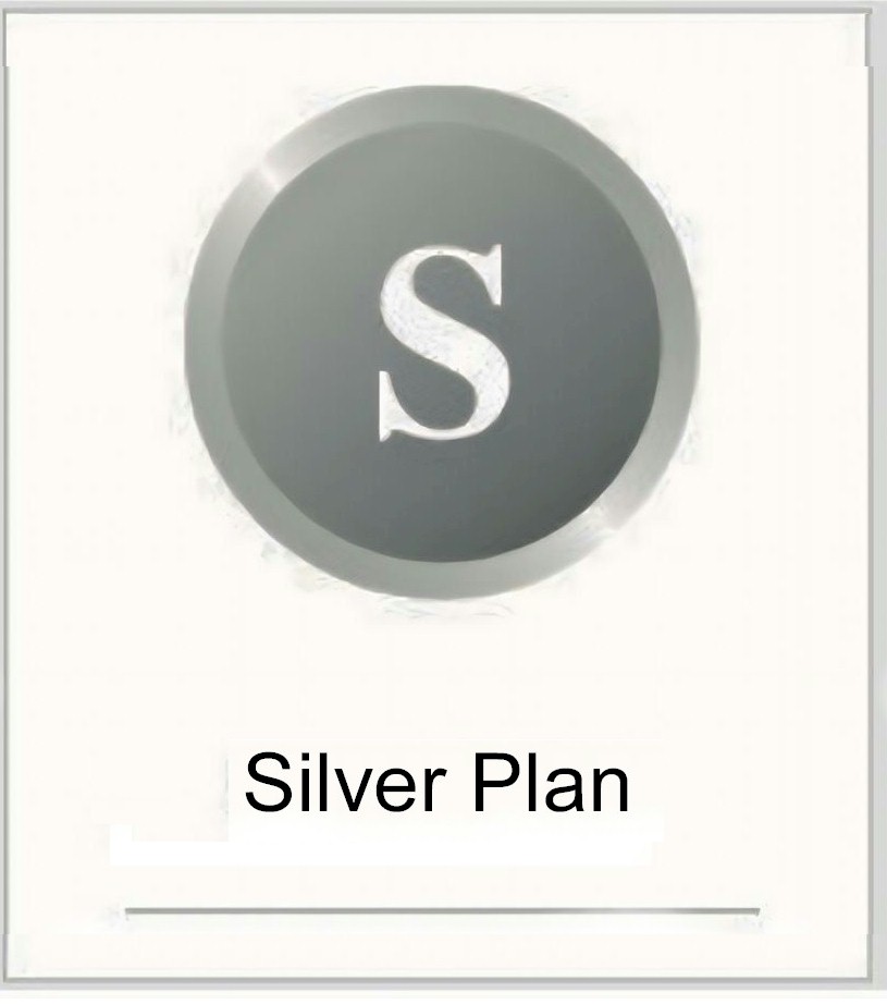 Silver Plan Pic